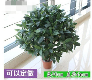 办公室内客厅仿真植物八方来财长青树大型盆栽绿植花卉发财长青叶