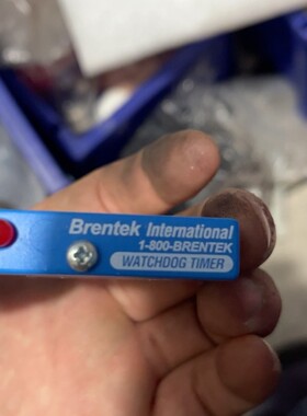 Brentek型号GX2-WDT24-2a，定时器