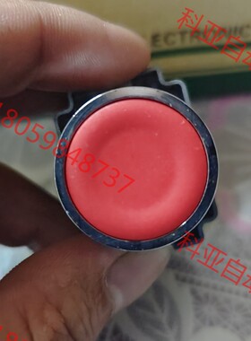 全新 AIKS 爱克斯按钮开关AS2204-10/R  红色