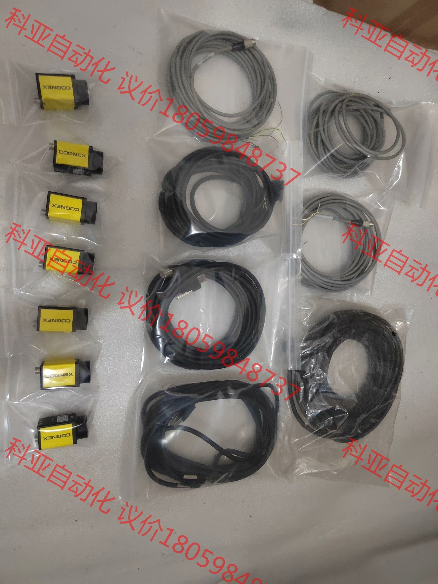 CONGEX康耐视CAM-CIC-5000-24-G全局曝光