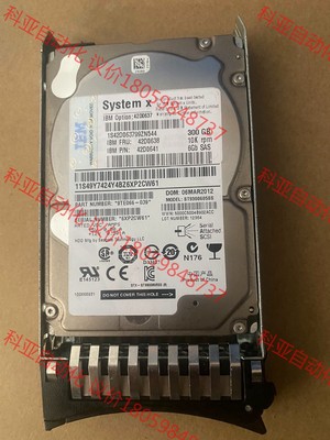 原装IBM 42D0638  90Y8878 300G 原装