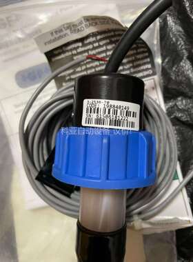 +GF+流量感应器，198840149， （议价）