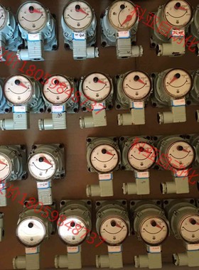 OVAL VALVE  NPI45B10 NPI45B30