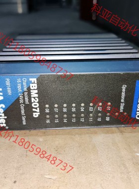 foxboro福克斯波罗FBM207b质量包好实物图成色漂亮