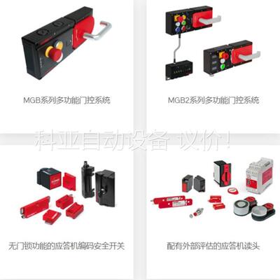 091865 STM1N-222B024-M锁头 安全门锁现(议价)