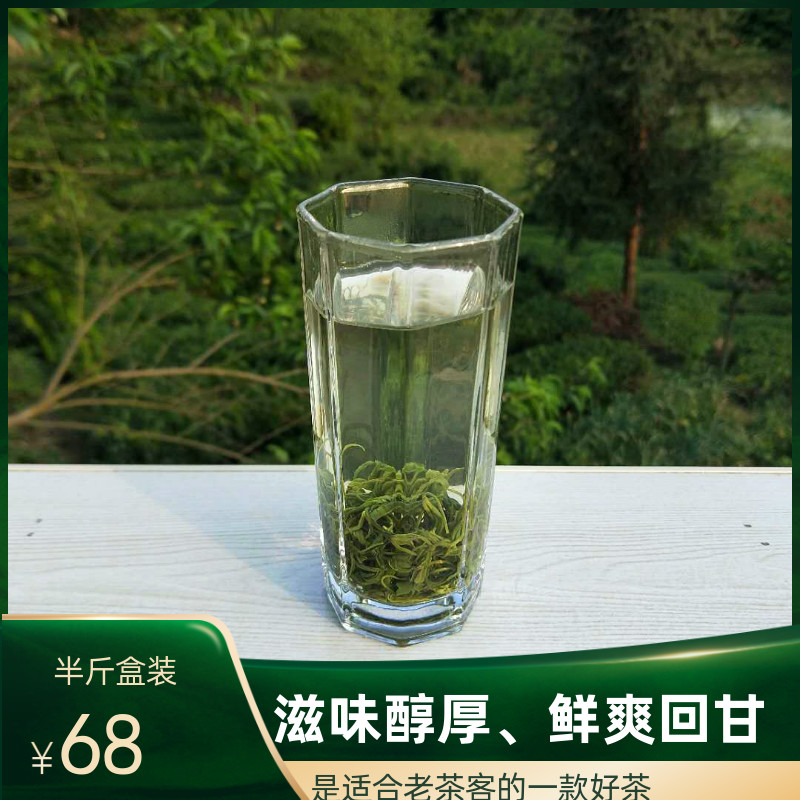 绿茶毛峰贵州遵义湄潭直销半斤