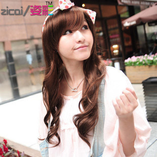 Perruque Les cheveux longs - Ref 2613137 Image 1