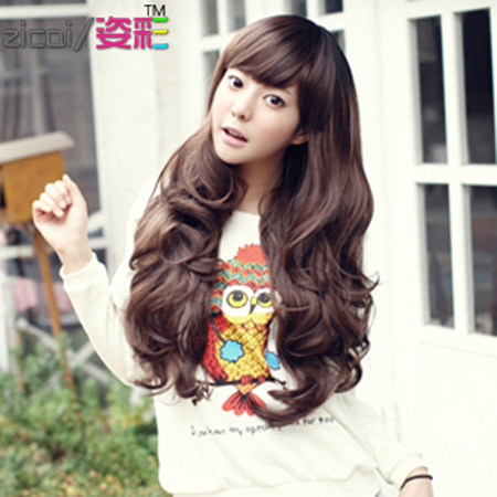 Perruque Long cheveux raides - Ref 2613123 Image 1