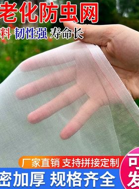 大棚蔬菜防虫网加密加厚