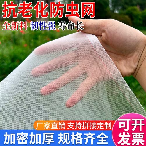 大棚蔬菜防虫网加密加厚