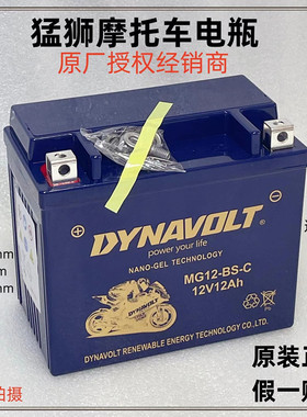 隆鑫无极电池300R 250RR AC GY 500R 650DS 525R 150GT摩托车电瓶
