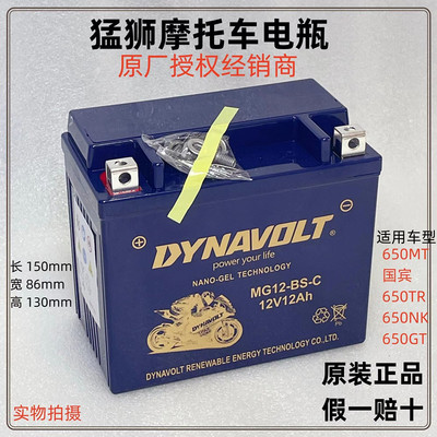 隆鑫无极电池300R 250RR AC GY 500R 650DS 525R 150GT摩托车电瓶