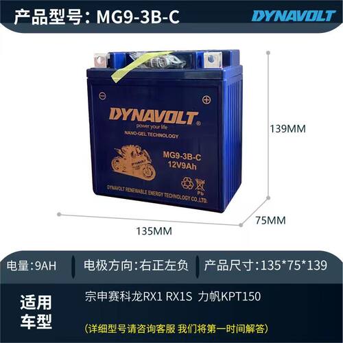 阿普利亚GPR250宗申赛科龙RX1 RX1S RE250 银钢YG150-22D电瓶