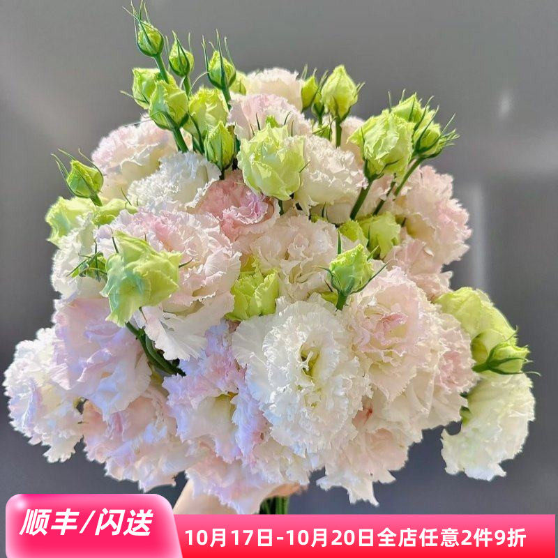 冰激凌洋桔梗卷边龙胆鲜花闪送