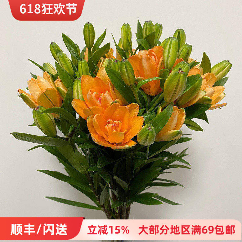 北京鲜花直送 小蜜蜂百合 橘色重瓣迷你花型春节家居水瓶插花