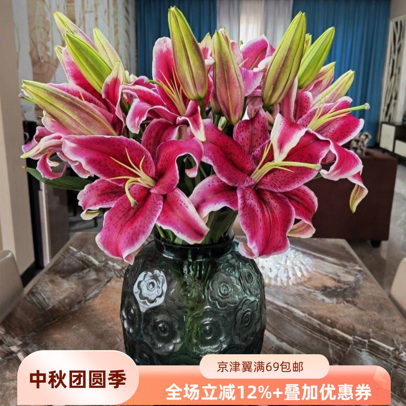 黑美人香水百合鲜花 大花朵10枝 办公室水养瓶插花节日礼物年宵花