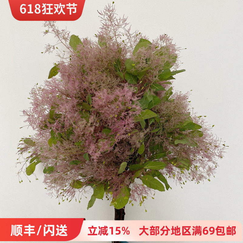 雾中情人 黄栌草 鲜花配花点缀 神秘优雅DIY花艺插花北京鲜花直批
