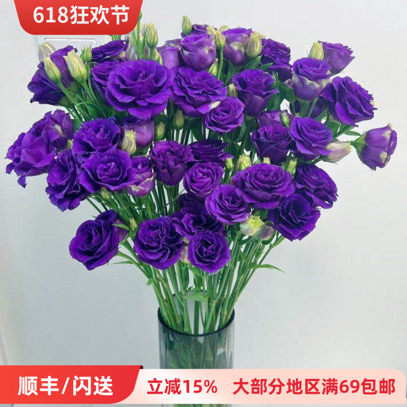 新鲜紫色洋桔梗 龙胆鲜切花 婚礼酒店插花 办公室日常瓶插 顺丰