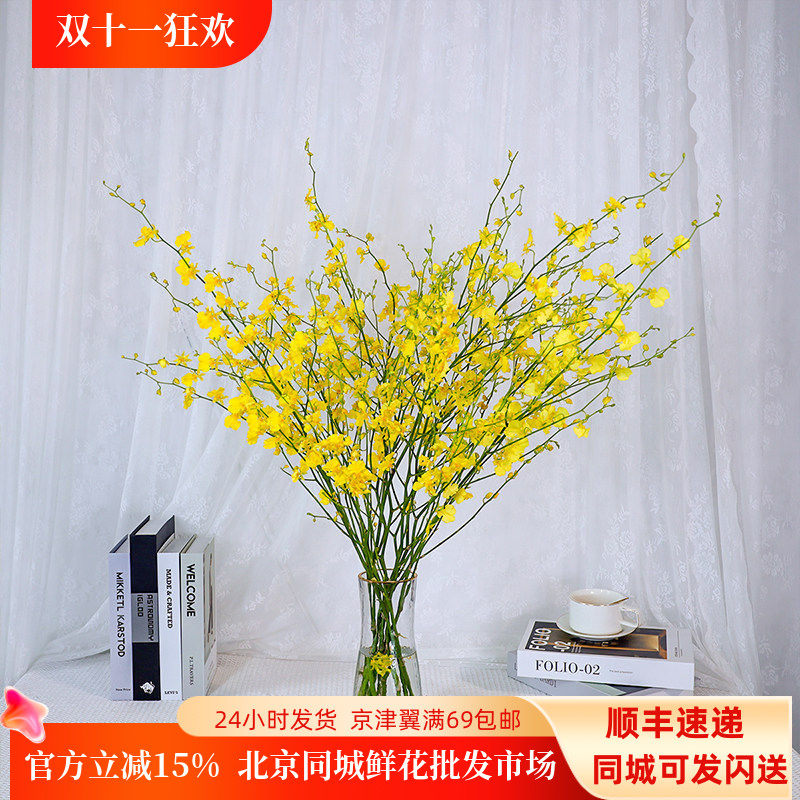 柠檬黄跳舞兰鲜花北京同城速递10