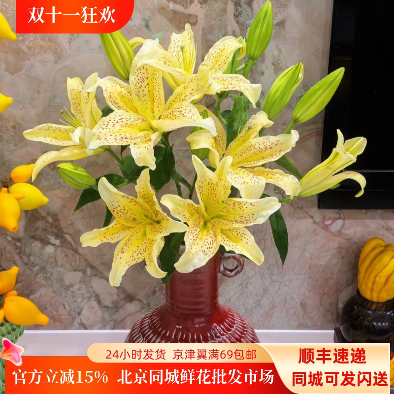 老虎沐恩百合鲜切花10枝顺丰速运