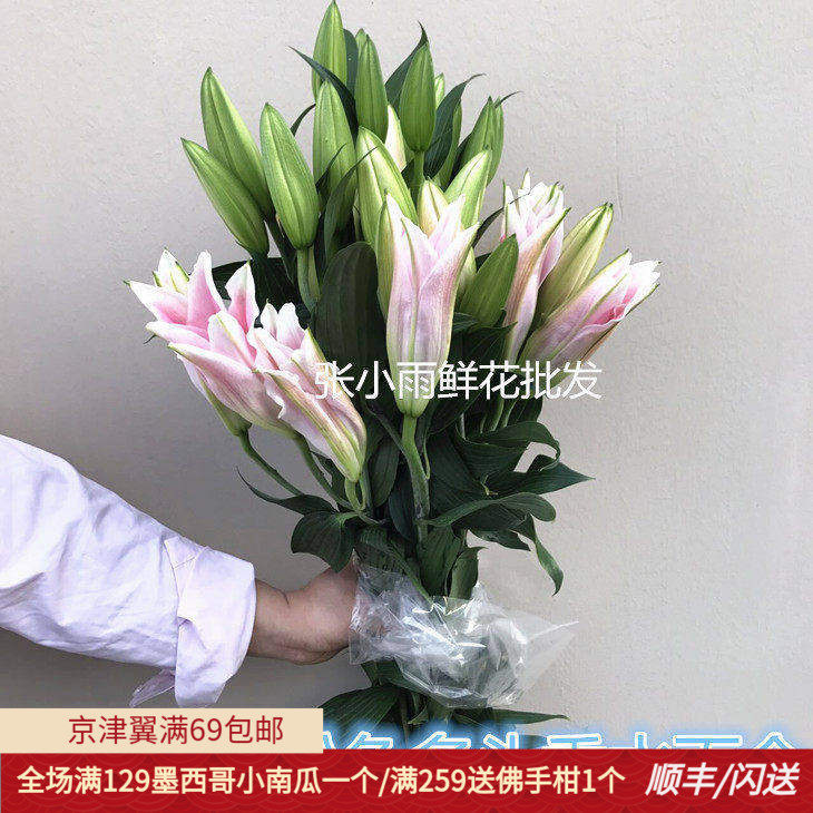香水百合大花朵粉百合基地直供