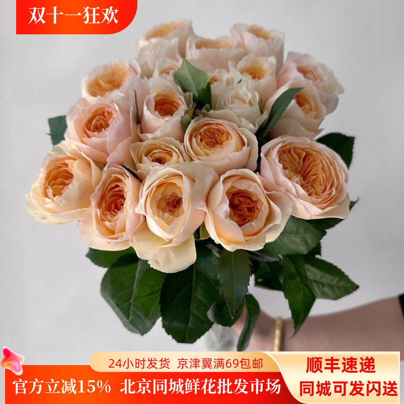 奥斯汀朱丽叶玫瑰鲜切花同城速递