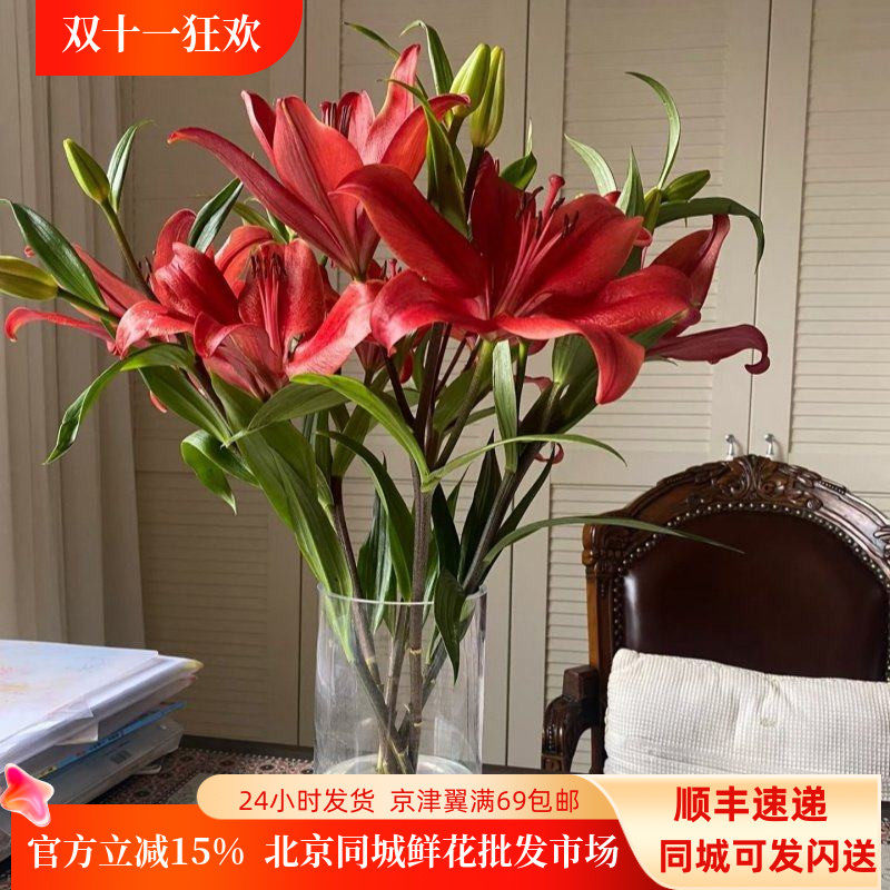 亚百暗红色花朵10枝多头鲜切花