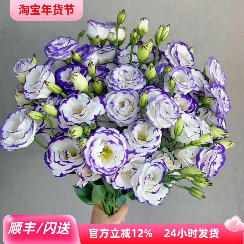 新鲜洋桔梗 紫白龙胆花 优雅配花 家庭酒店摆放花 花艺师DIY插花,鲜花速递/花卉仿真/绿植园艺,花材,淘宝优惠券,粉丝福利购,淘宝优惠卷