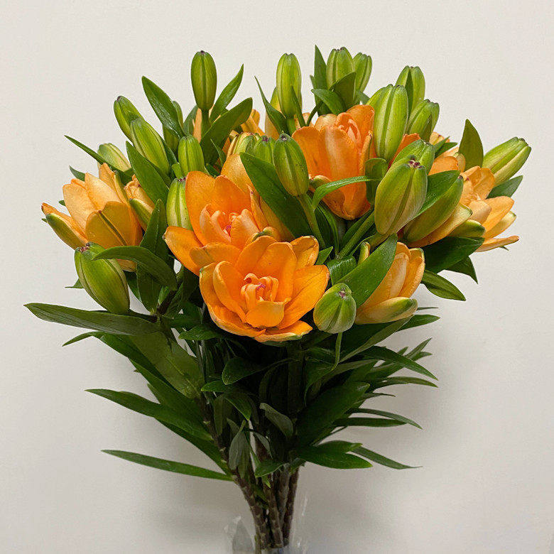 北京鲜花直送 小蜜蜂百合 橘色重瓣迷你花型春节家居水瓶插花