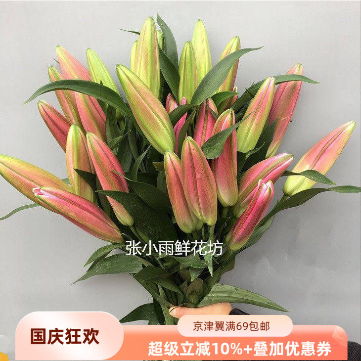 罗宾娜红百合含苞10枝北京速递
