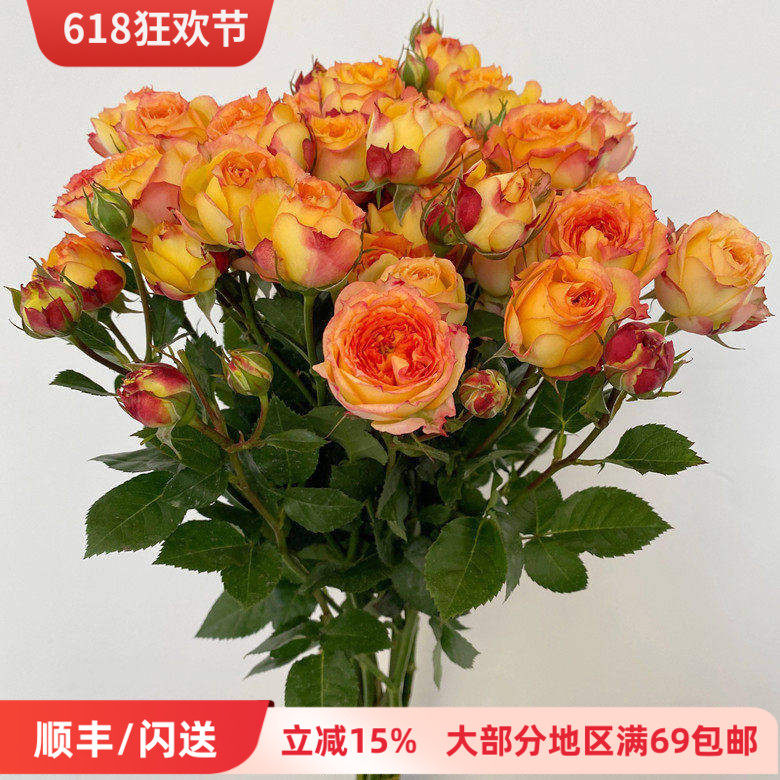 家养多头小玫瑰 浪漫爱人蔷薇 一扎10枝 DIY花艺插花 办公室周花
