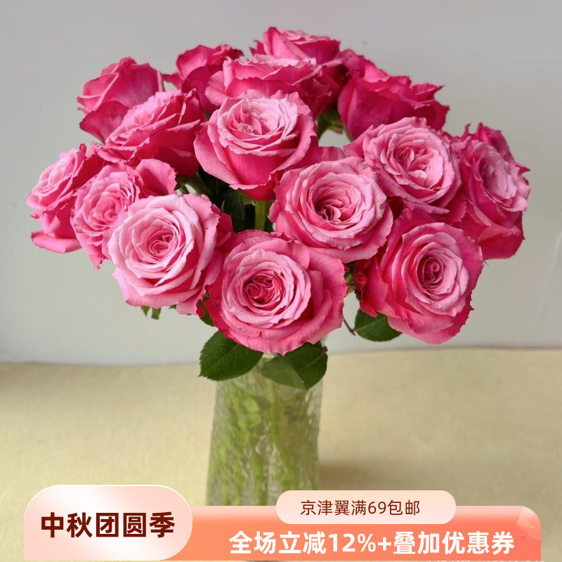 小红梅玫瑰新鲜大朵A级瓶插轻奢