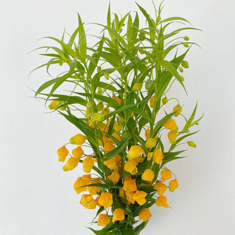10枝宫灯百合花艺插花婚礼用花