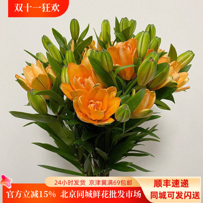 北京鲜花直送 小蜜蜂百合 橘色重瓣迷你花型春节家居水瓶插花