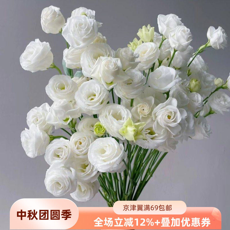 洁白洋桔梗10枝龙胆鲜切花家用
