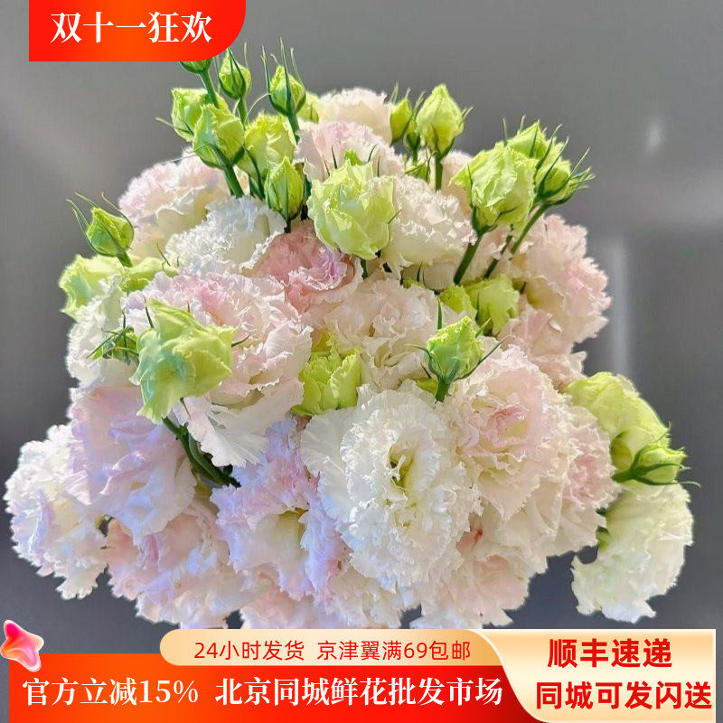 冰激凌洋桔梗卷边龙胆鲜花闪送