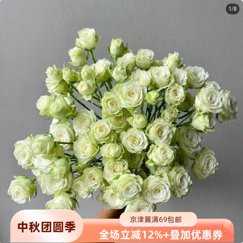 繁星婚礼花材女神节淡淡绿色闪送