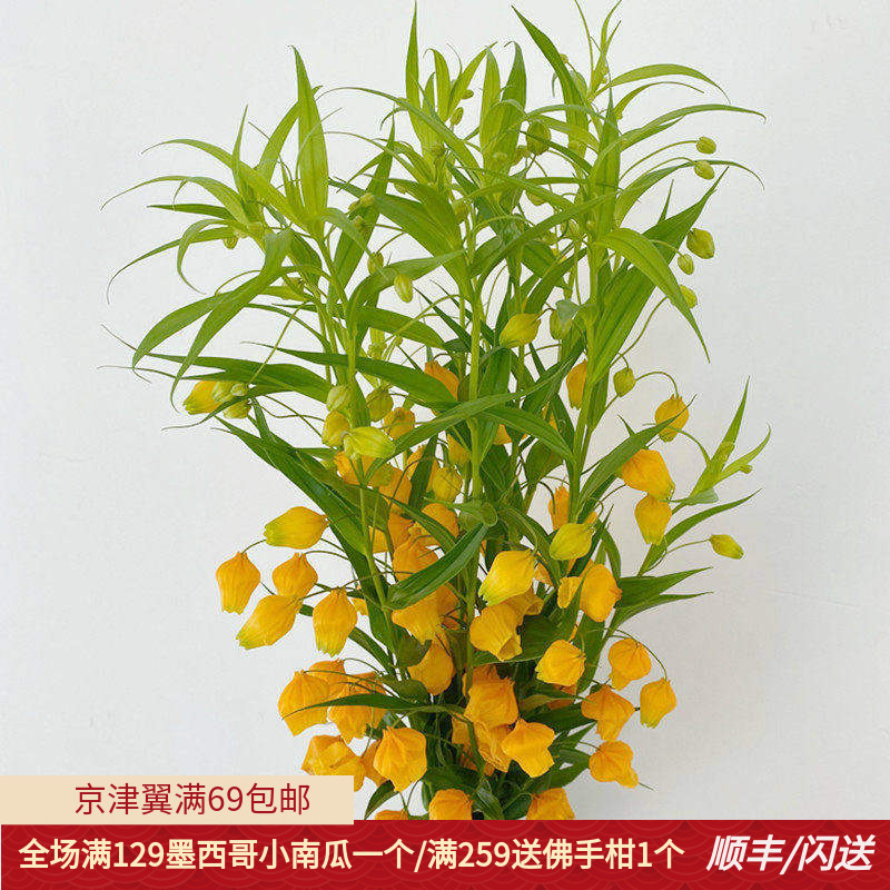 10枝宫灯百合花艺插花婚礼用花