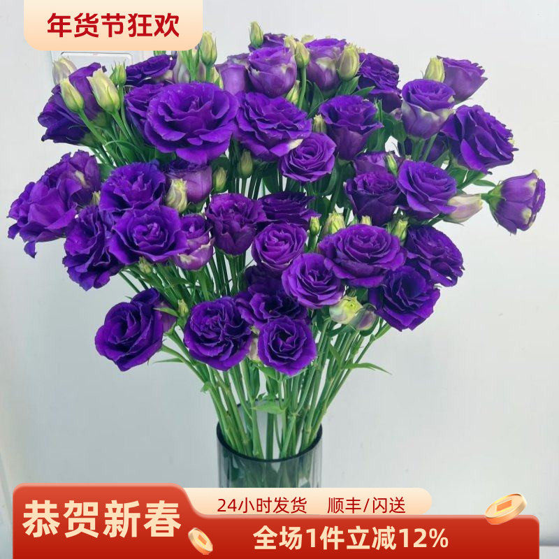 新鲜紫色洋桔梗 龙胆鲜切花 婚礼酒店插花 办公室日常瓶插 顺丰