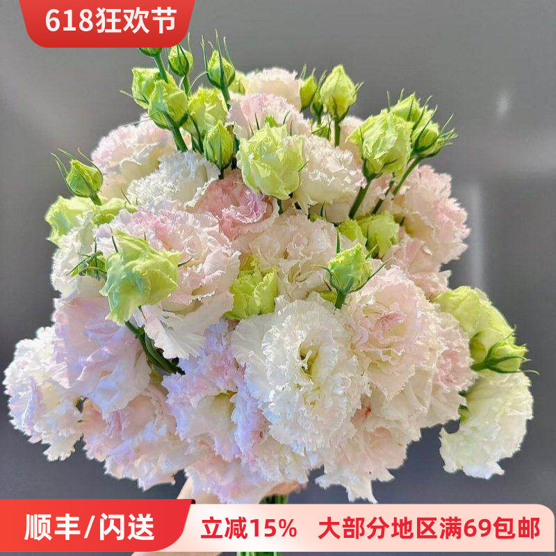 冰激凌洋桔梗卷边龙胆鲜花闪送