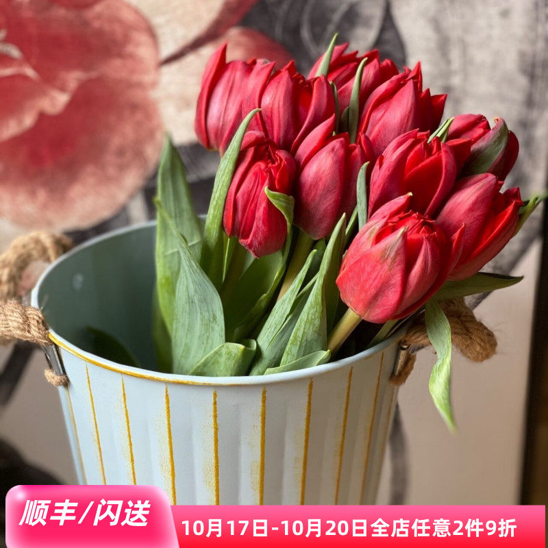进口红色郁金香重瓣郁金香鲜切花高贵类花卉北京同城速递10朵