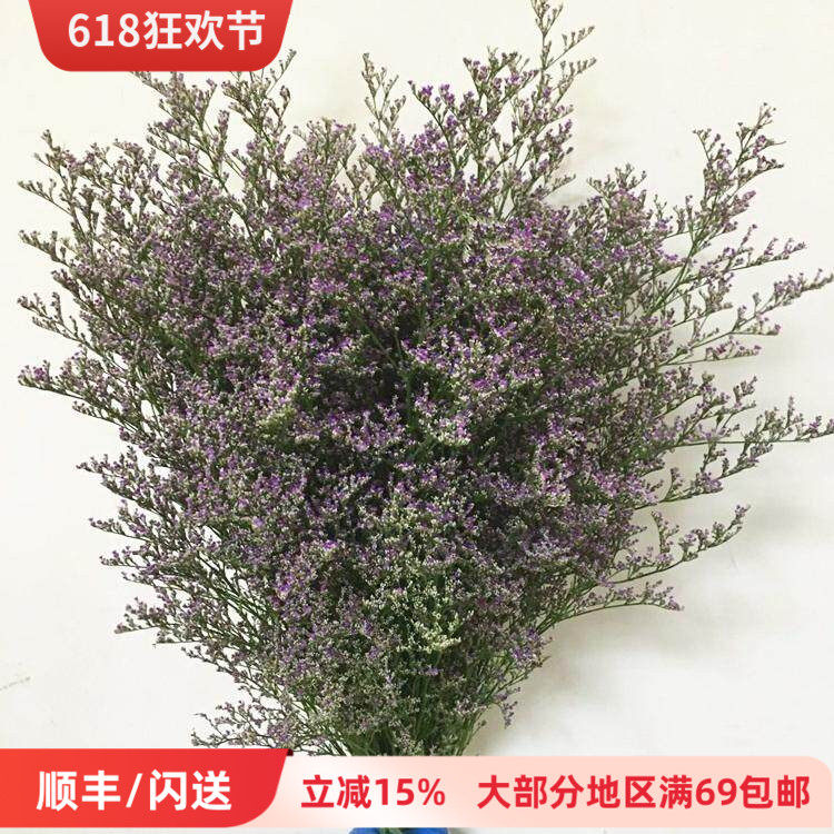 家庭DIY插花情人草鲜切花好养花期长可做干花长久欣赏北京速递