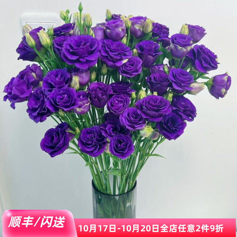新鲜紫色洋桔梗龙胆鲜切花10枝