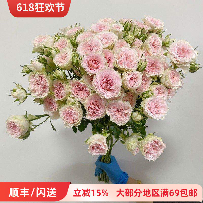 情迷罗拉多头玫瑰 蔷薇鲜切花 波浪纹花瓣  家用装饰水养周花观赏