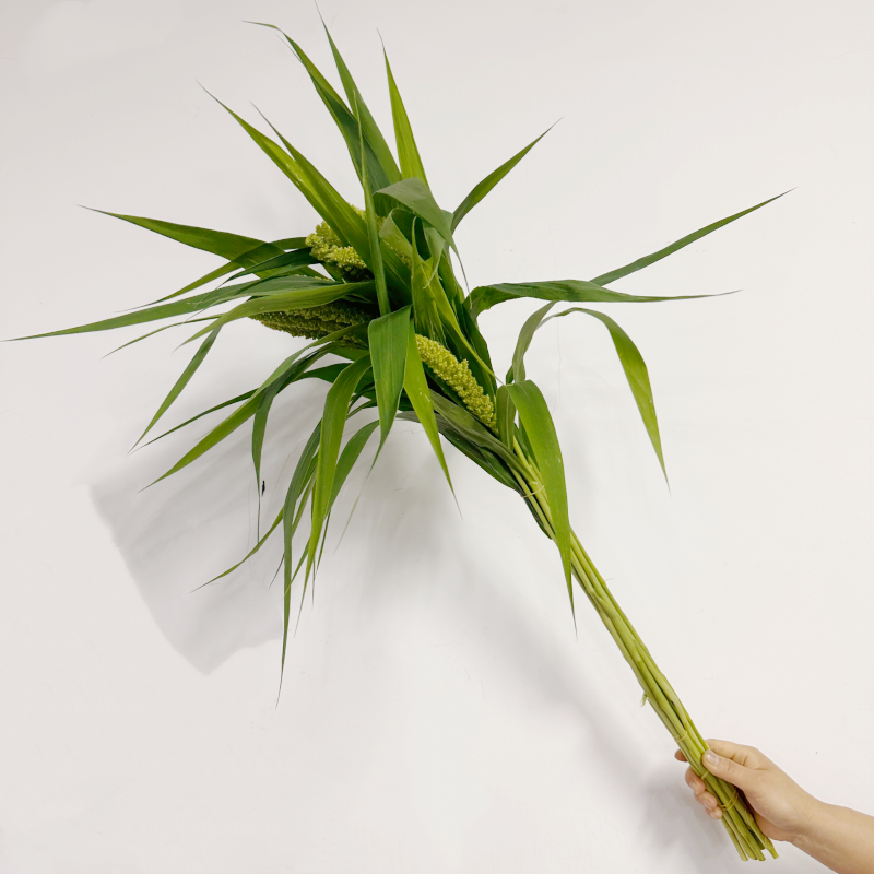 鲜花绿叶配花 谷子 青麦穗 家庭DIY插花婚庆花艺北京同城鲜花速递