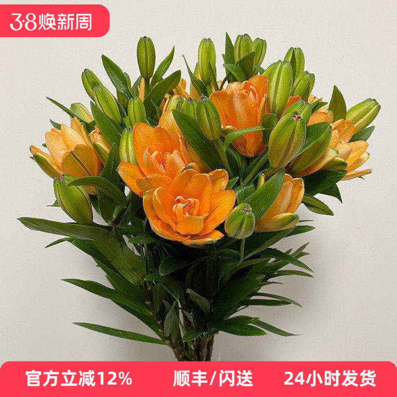 北京鲜花直送 小蜜蜂百合 橘色重瓣迷你花型春节家居水瓶插花