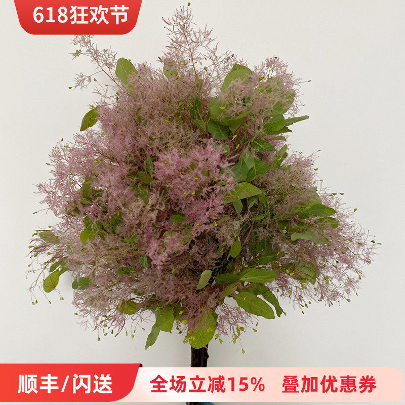 雾中情人 黄栌草 鲜花配花点缀 神秘优雅DIY花艺插花北京鲜花直批