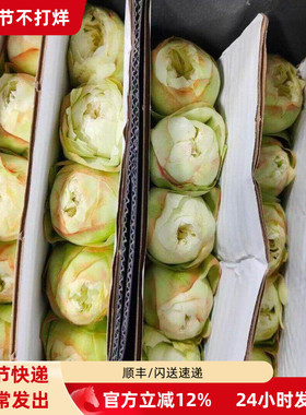 夏雨荷玫瑰水插花家居办公商务会场摆设婚宴布场混搭花束同城速递