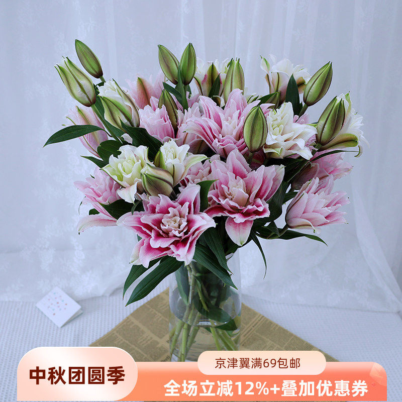 重瓣百合花白色粉色红色北京直批