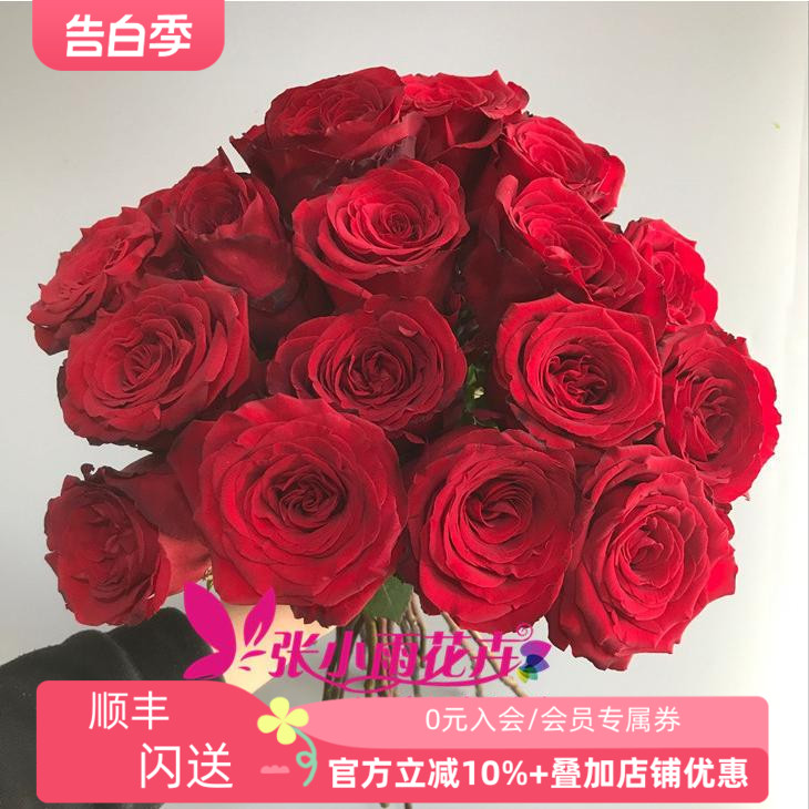 红佛玫瑰鲜花正红色情人节鲜花北京同城速递花期长花形好20枝装